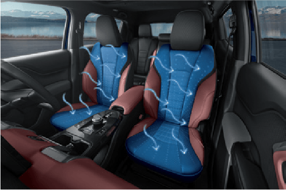 Ventilated Seats